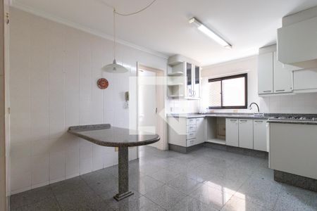 Apartamento para alugar com 193m², 3 quartos e 2 vagasCozinha - Armários