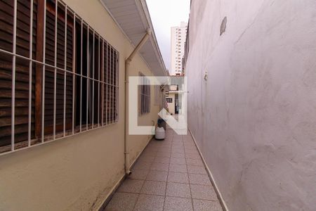 Casa à venda com 231m², 3 quartos e 2 vagasQuintal