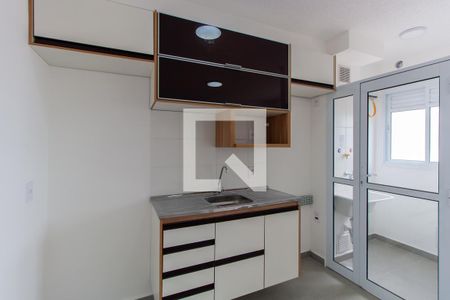 Cozinha de apartamento para alugar com 2 quartos, 34m² em Vila Tolstoi, São Paulo