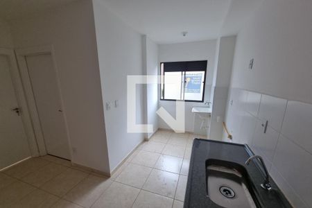 Cozinha - Lavanderia de apartamento para alugar com 2 quartos, 43m² em Planalto Verde, Ribeirão Preto