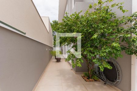 Casa de condomínio à venda com 296m², 3 quartos e 4 vagasQuintal