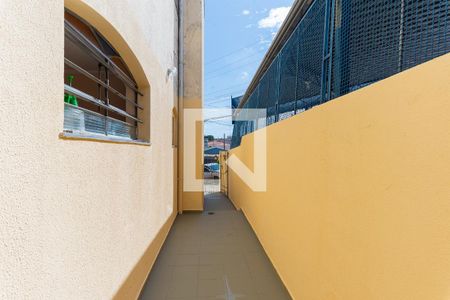 Quintal de apartamento para alugar com 2 quartos, 110m² em Vila Joaquim Inacio, Campinas