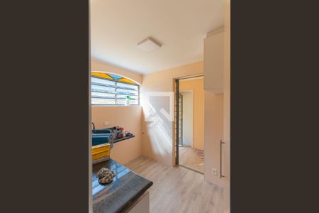 Cozinha de apartamento para alugar com 2 quartos, 110m² em Vila Joaquim Inacio, Campinas