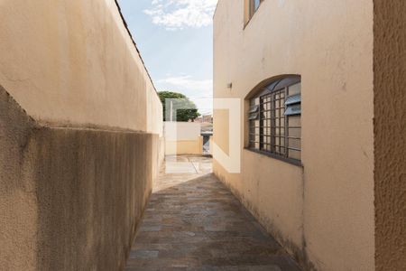 Área comum de apartamento para alugar com 2 quartos, 110m² em Vila Joaquim Inacio, Campinas