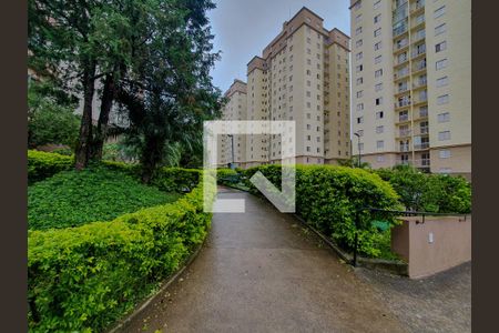 Apartamento para alugar com 70m², 3 quartos e 1 vagaÁrea comum 