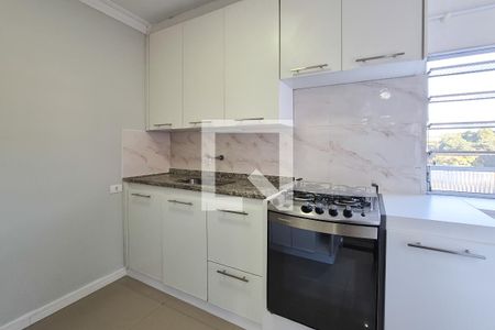 Apartamento para alugar com 2 quartos, 46m² em Baeta Neves, São Bernardo do Campo