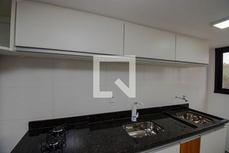 Apartamento para alugar com 40m², 1 quarto e sem vagaCozinha - Armários