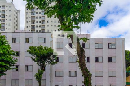 Vista de apartamento para alugar com 3 quartos, 72m² em Vila Prudente, São Paulo