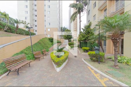 Apartamento para alugar com 64m², 3 quartos e 1 vaga Apartamento para alugar com 64m², 3 quartos e 1 vagaÁrea Comum - Jardim