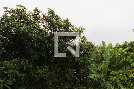 Casa à venda com 233m², 3 quartos e 1 vagaQuarto 1