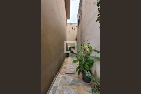 Casa à venda com 208m², 3 quartos e 3 vagasQuintal