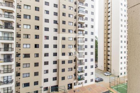 Apartamento para alugar com 53m², 2 quartos e 1 vaga Apartamento para alugar com 53m², 2 quartos e 1 vagaVista do Quarto 1