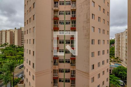 Apartamento para alugar com 46m², 2 quartos e 1 vagaVista 
