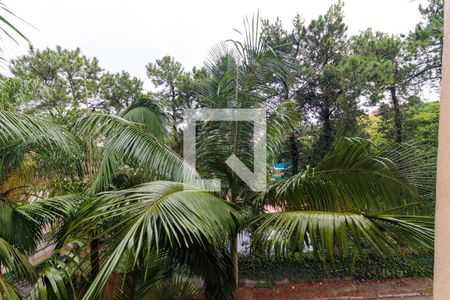 Vista da Sala de apartamento para alugar com 3 quartos, 60m² em Paraisópolis, São Paulo