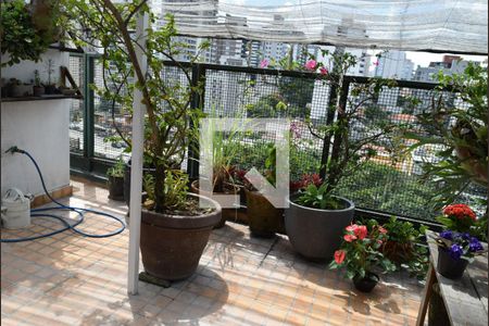 Apartamento para alugar com 222m², 3 quartos e 2 vagasJardim da Suíte 4 - piso superior