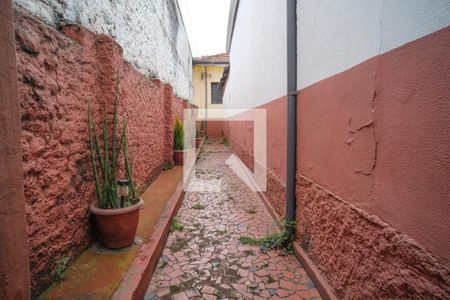 Casa para alugar com 118m², 3 quartos e sem vaga Casa para alugar com 118m², 3 quartos e sem vagaQuintal