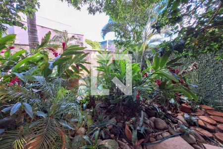 Casa à venda com 246m², 3 quartos e 2 vagasQuintal