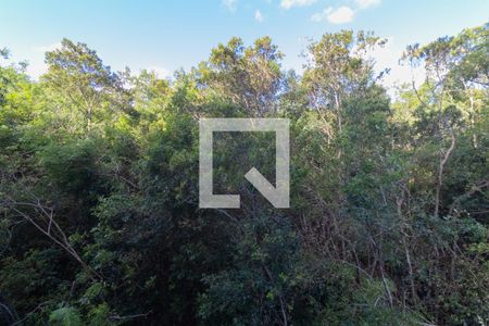 Sala-Vista de apartamento para alugar com 2 quartos, 50m² em Olaria, Canoas