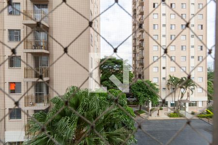 Apartamento para alugar com 55m², 2 quartos e 1 vagaVista Quarto 2