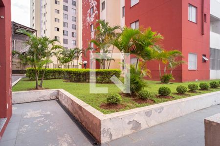 Área comum  de apartamento para alugar com 2 quartos, 48m² em Vila Buenos Aires, São Paulo