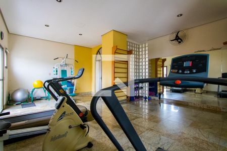 Apartamento à venda com 183m², 4 quartos e 3 vagas Apartamento à venda com 183m², 4 quartos e 3 vagasÁrea comum - Academia