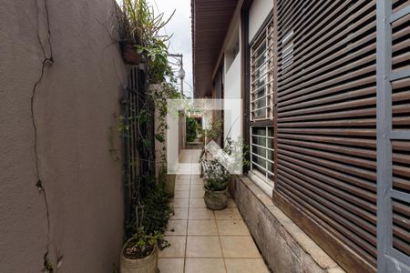 Casa à venda com 280m², 2 quartos e 5 vagas Casa à venda com 280m², 2 quartos e 5 vagasQuintal