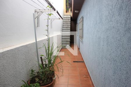 Casa à venda com 260m², 5 quartos e 3 vagasCorredor do quintal