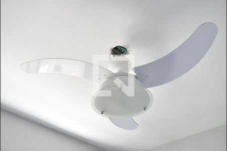Apartamento para alugar com 40m², 2 quartos e 1 vagaQuarto 2 - Ventilador de Teto
