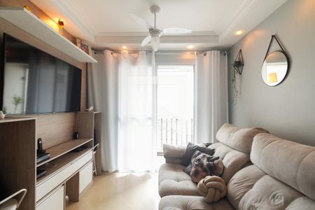 Sala de apartamento para alugar com 2 quartos, 60m² em Vila Mafra, São Paulo