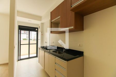 Cozinha de apartamento para alugar com 2 quartos, 56m² em Vila Zilda, São Paulo