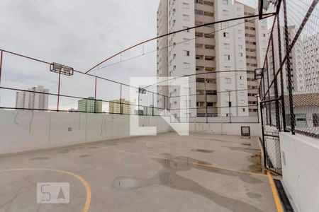 Apartamento para alugar com 68m², 3 quartos e 1 vaga Apartamento para alugar com 68m², 3 quartos e 1 vagaQuadra esportiva