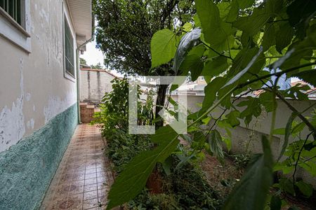 jardim_2 de casa à venda com 2 quartos, 375m² em Vila Água Funda, São Paulo