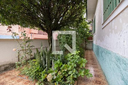 jardim_1 de casa à venda com 2 quartos, 375m² em Vila Água Funda, São Paulo