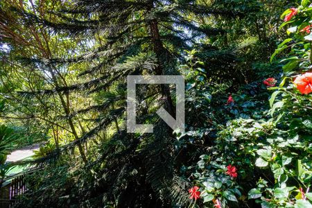 Casa de condomínio à venda com 995m², 4 quartos e 2 vagasSuite