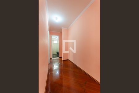 Corredor de apartamento para alugar com 2 quartos, 56m² em Vila Albertina, São Paulo