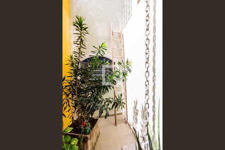 Casa à venda com 412m², 3 quartos e 3 vagasJardim