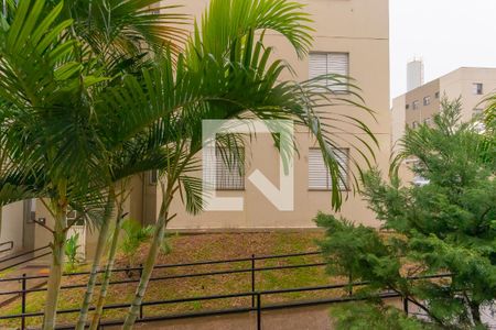 Vista do Quarto 1 de apartamento para alugar com 2 quartos, 50m² em Vila Abaeté, Campinas