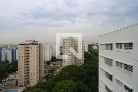 Vista da Suíte de apartamento para alugar com 2 quartos, 58m² em Santana, São Paulo