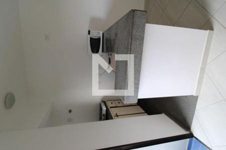 Cozinha de apartamento para alugar com 1 quarto, 30m² em Vila Suzana, São Paulo