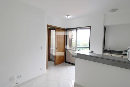Sala/Cozinha de apartamento para alugar com 1 quarto, 30m² em Vila Suzana, São Paulo