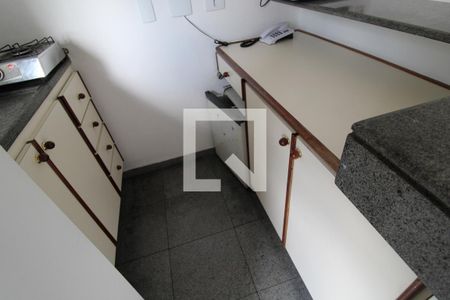 Cozinha - Armários de apartamento para alugar com 1 quarto, 30m² em Vila Suzana, São Paulo