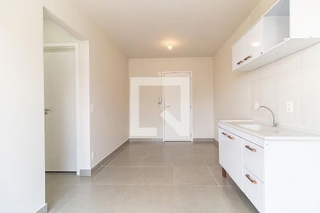 Cozinha de apartamento para alugar com 2 quartos, 37m² em Vila Moinho Velho, São Paulo