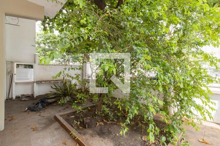 Casa para alugar com 318m², 3 quartos e 4 vagas Casa para alugar com 318m², 3 quartos e 4 vagasJardim