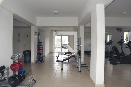 Área comum - Academia de apartamento para alugar com 2 quartos, 53m² em Vila da Paz, São Paulo