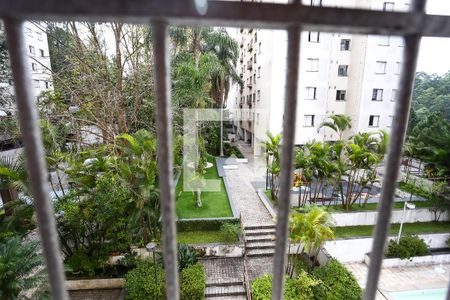 quarto 1 vista de apartamento à venda com 3 quartos, 75m² em Vila Andrade, São Paulo