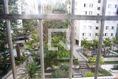 vista de apartamento à venda com 3 quartos, 75m² em Vila Andrade, São Paulo