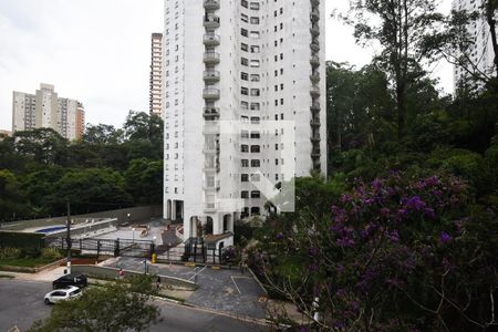 Vista de apartamento para alugar com 3 quartos, 130m² em Vila Andrade, São Paulo