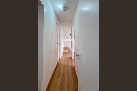 Corredor de apartamento para alugar com 2 quartos, 69m² em Indianópolis, São Paulo