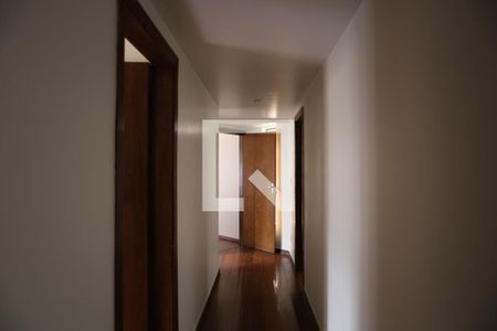 Corredor  de apartamento para alugar com 4 quartos, 214m² em Sion, Belo Horizonte