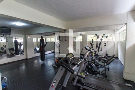 Academia de apartamento para alugar com 2 quartos, 52m² em Barro Branco (zona Norte), São Paulo